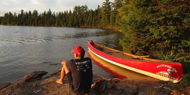 ALGONQUIN PARK DAY TRIP -GUIDED