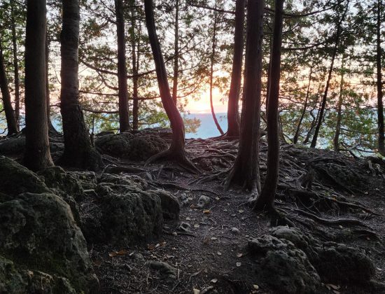 Old Baldy Lookout Trail